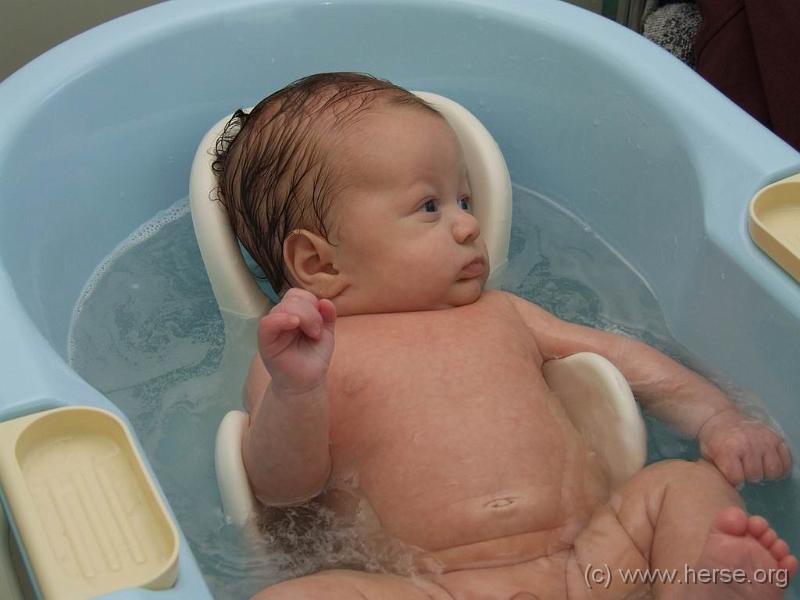 Resize of DSCF2046.JPG